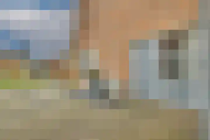 Oranjelaan 19 Zevenaar thumbnail 8