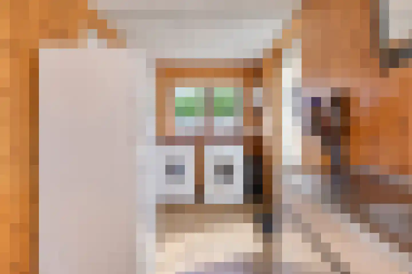 Oranjelaan 2 Baarle-Nassau thumbnail 18