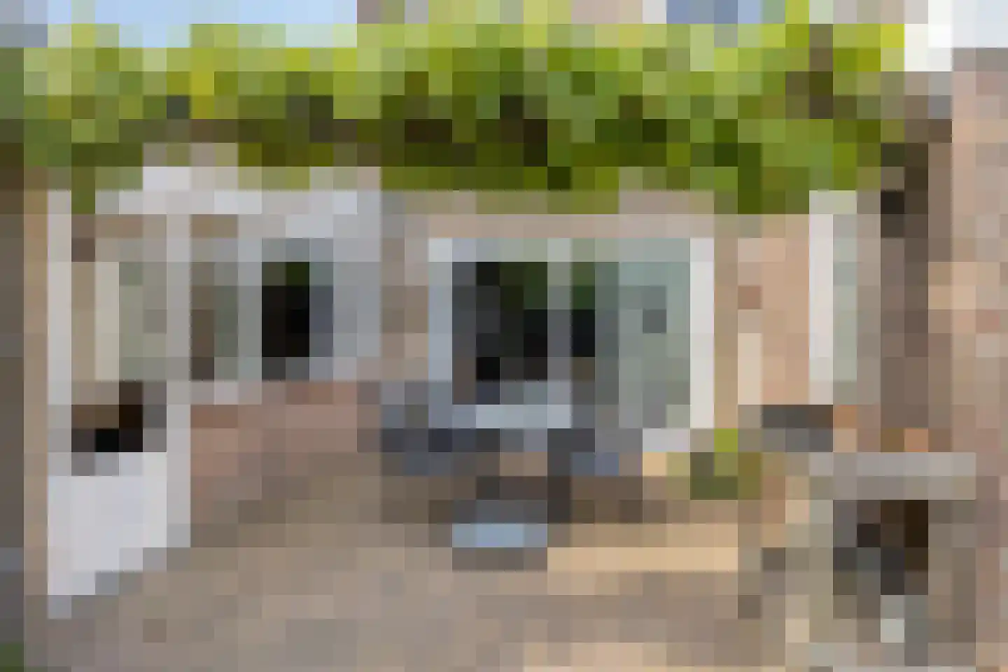 Oranjelaan 2 Baarle-Nassau thumbnail 28