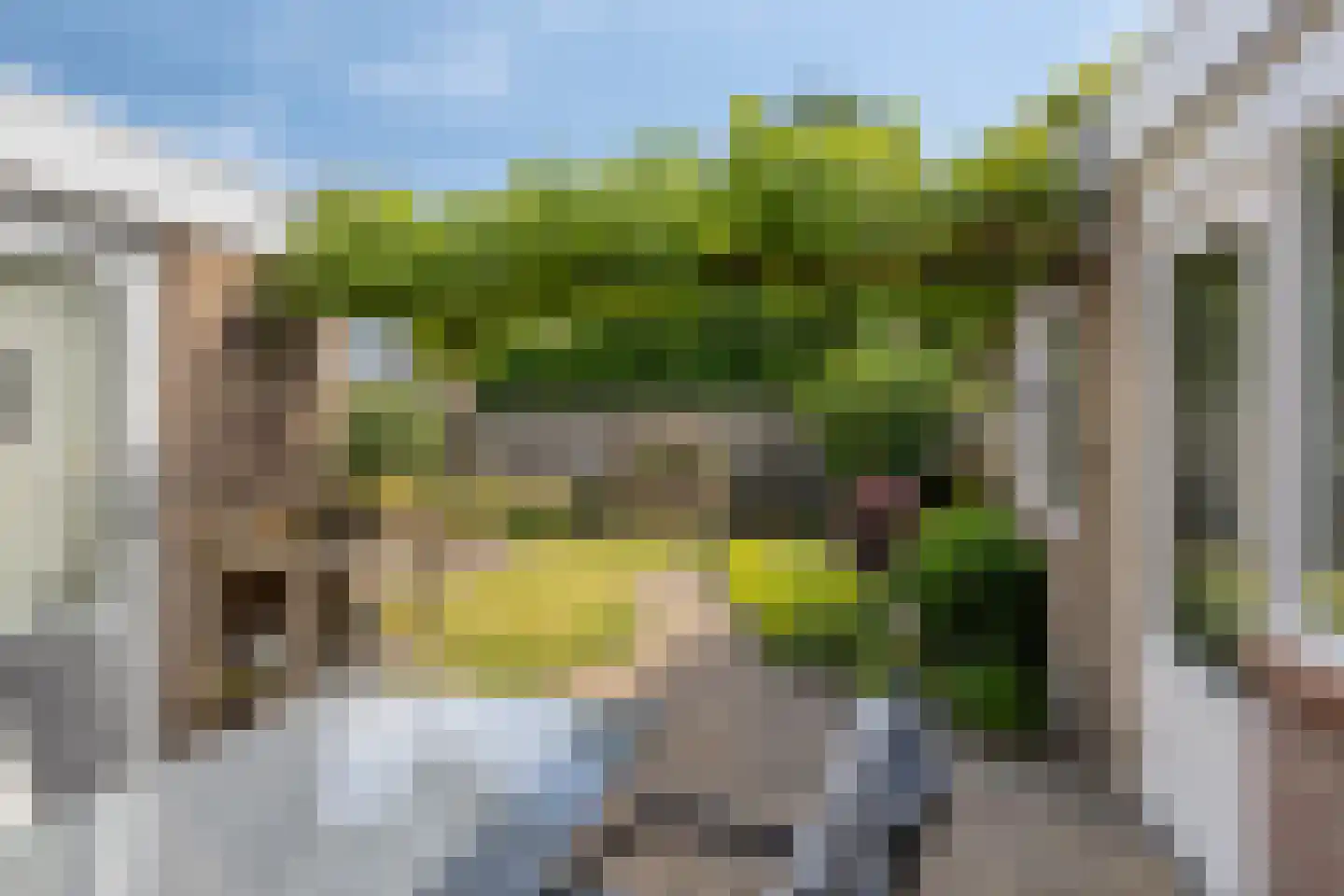 Oranjelaan 2 Baarle-Nassau thumbnail 29