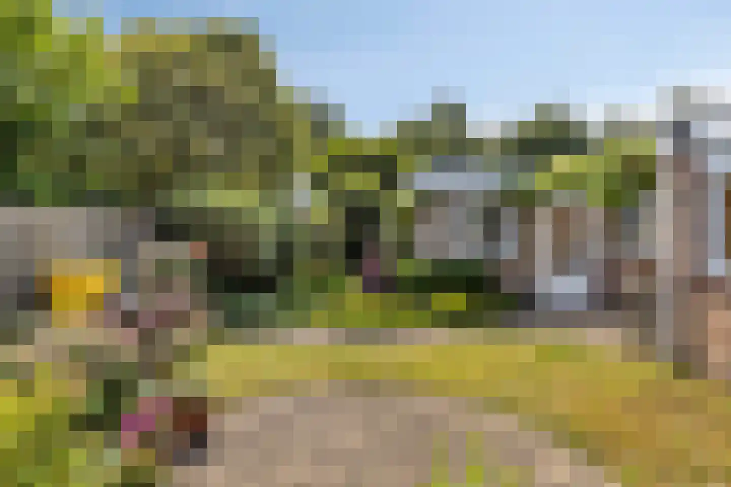 Oranjelaan 2 Baarle-Nassau thumbnail 30