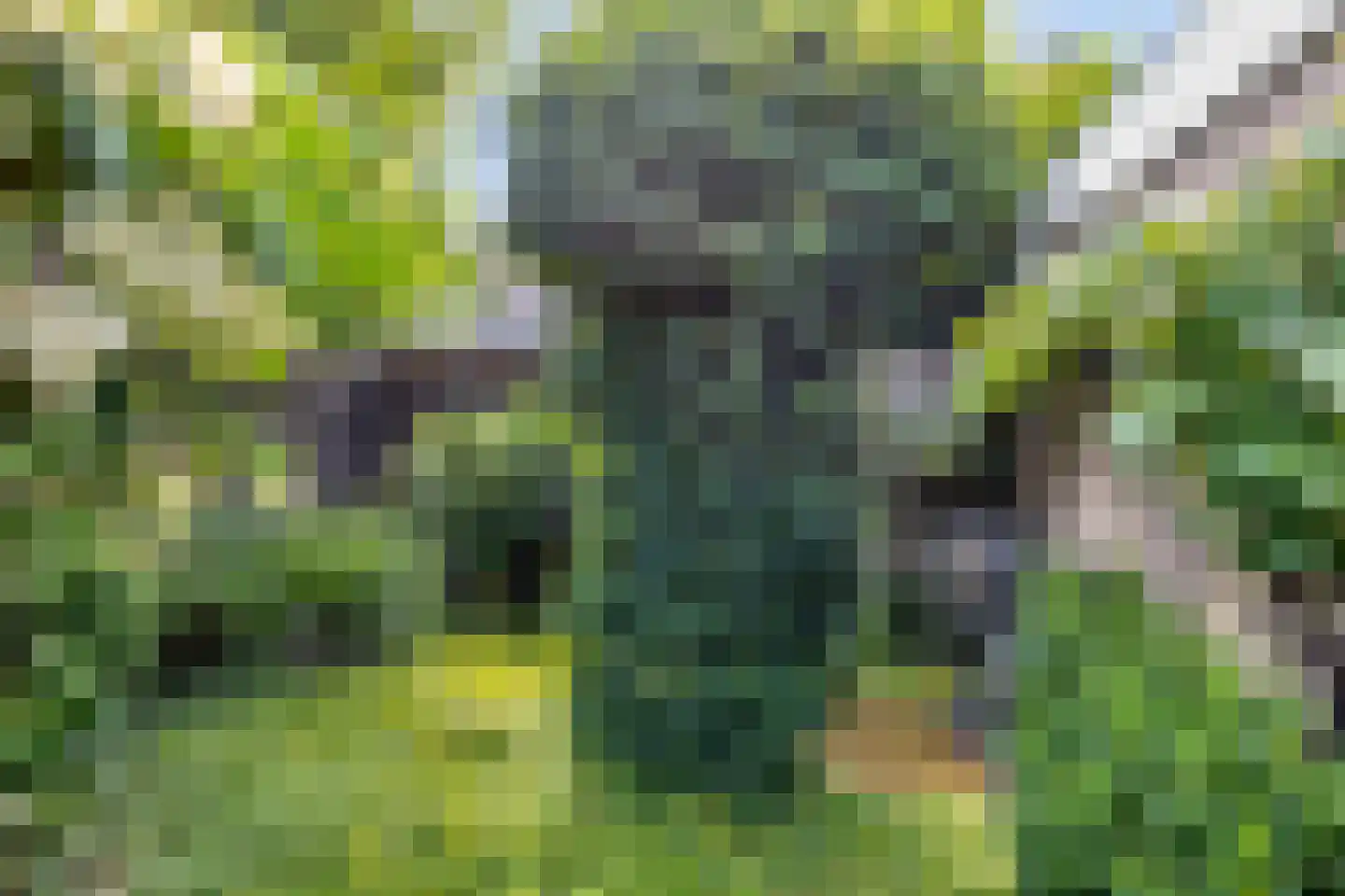 Oranjelaan 2 Baarle-Nassau thumbnail 32