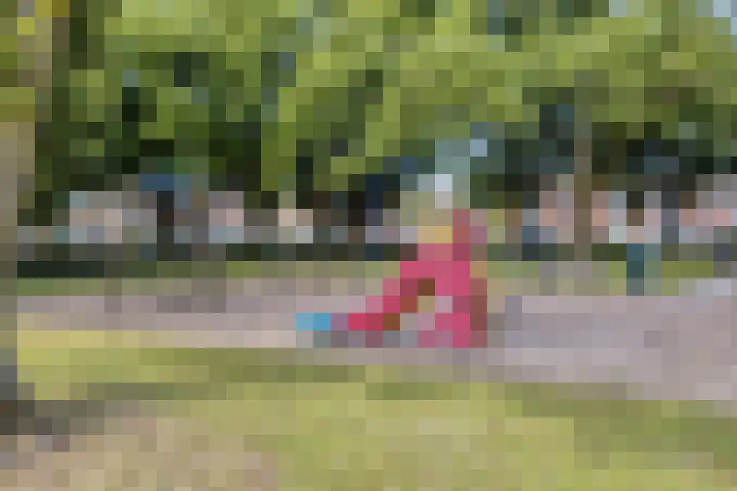 Oranjelaan 2 Baarle-Nassau thumbnail 32