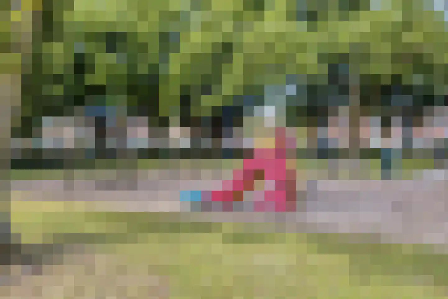 Oranjelaan 2 Baarle-Nassau thumbnail 33