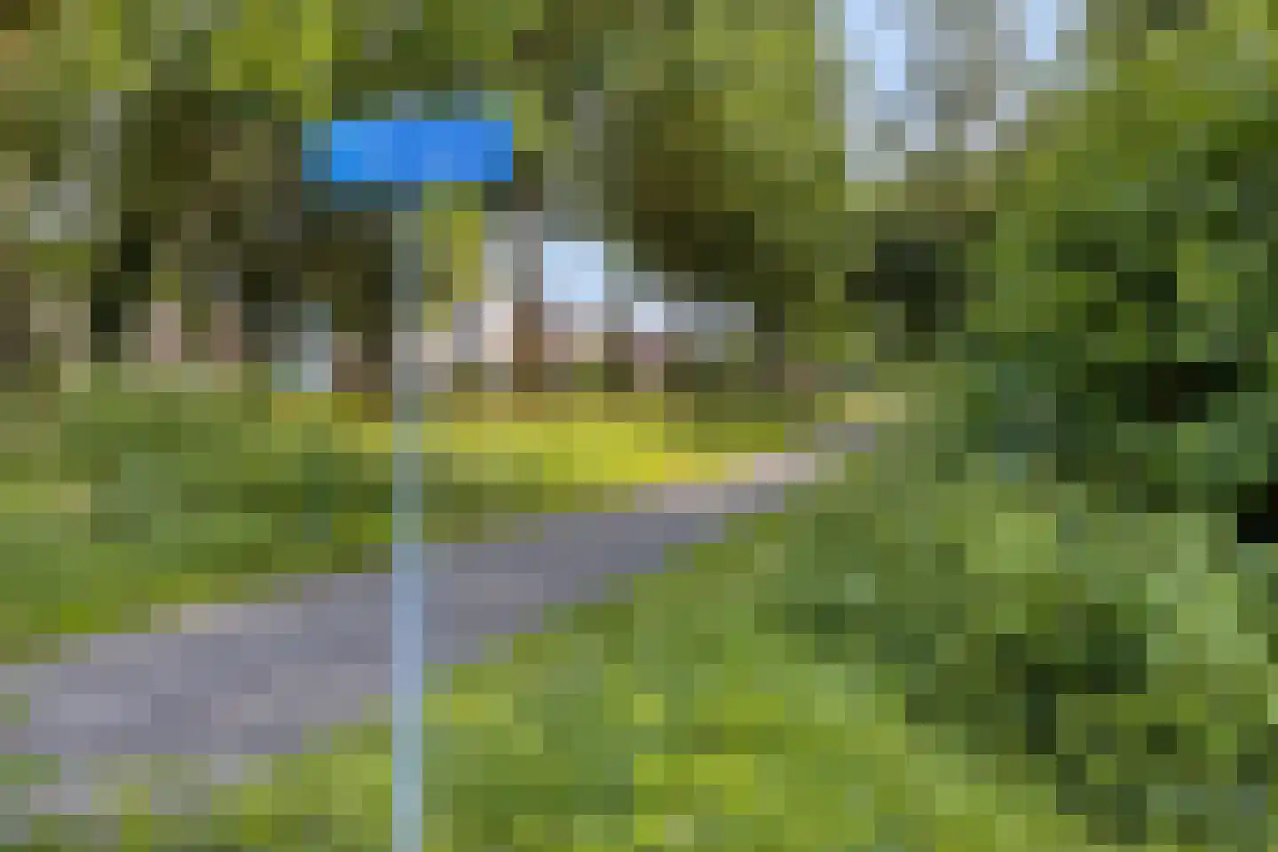 Oranjelaan 2 Baarle-Nassau thumbnail 34