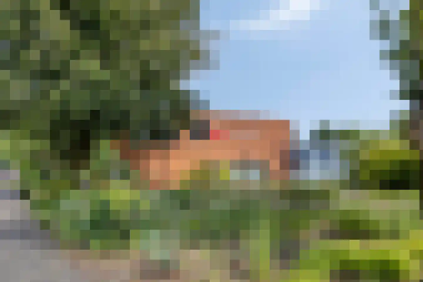 Oranjelaan 2 Baarle-Nassau thumbnail 35