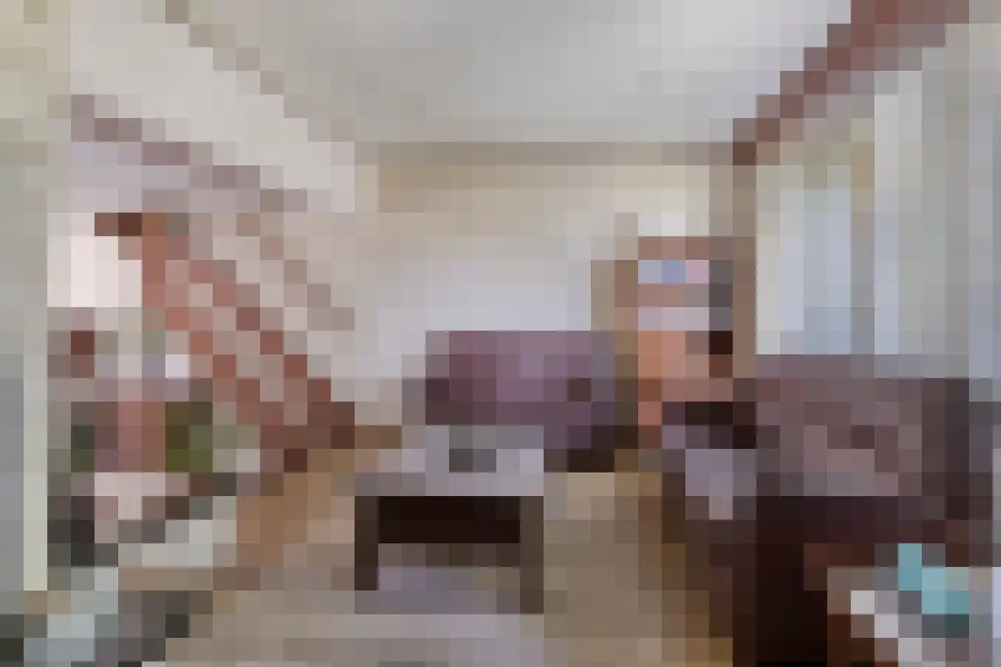 Oranjelaan 2 Baarle-Nassau thumbnail 8