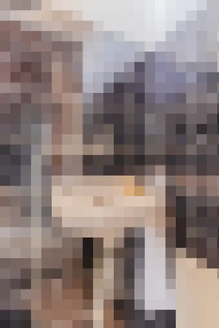 Oranjelaan 2 Susteren thumbnail 10