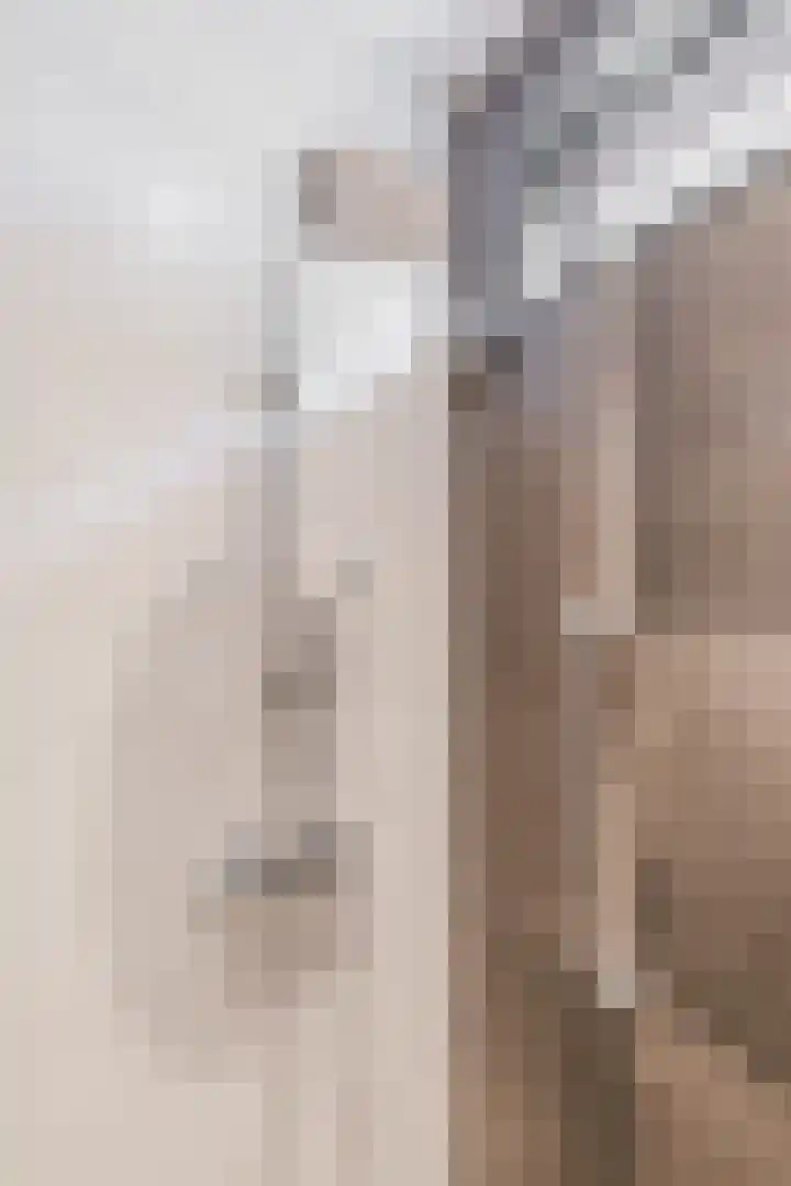 Oranjelaan 2 Susteren thumbnail 21