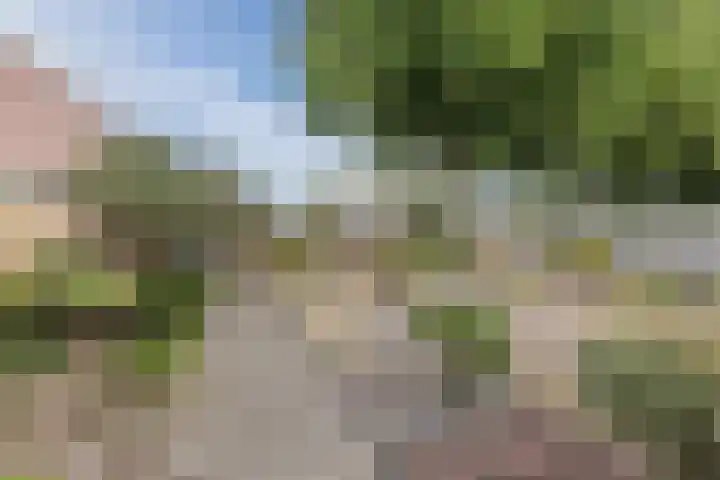 Oranjelaan 2 Susteren thumbnail 39