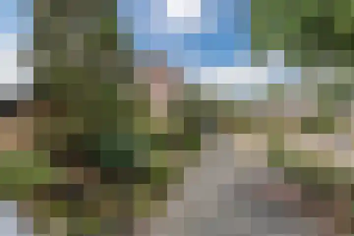 Oranjelaan 2 Susteren thumbnail 40