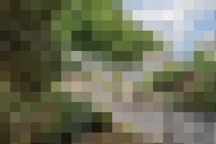 Oranjelaan 2 Susteren thumbnail 41