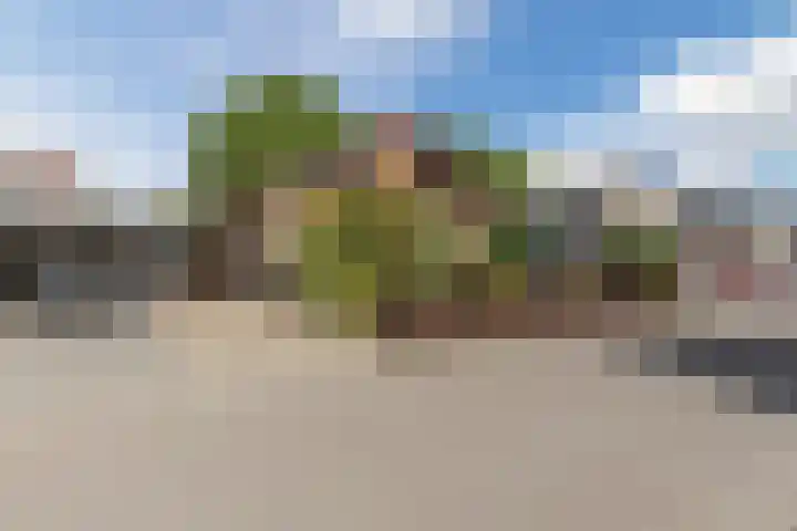 Oranjelaan 2 Susteren thumbnail 5