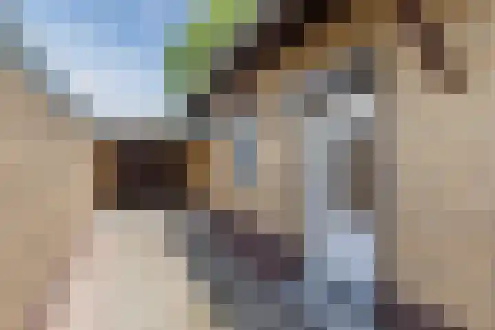 Oranjelaan 2 Susteren thumbnail 6