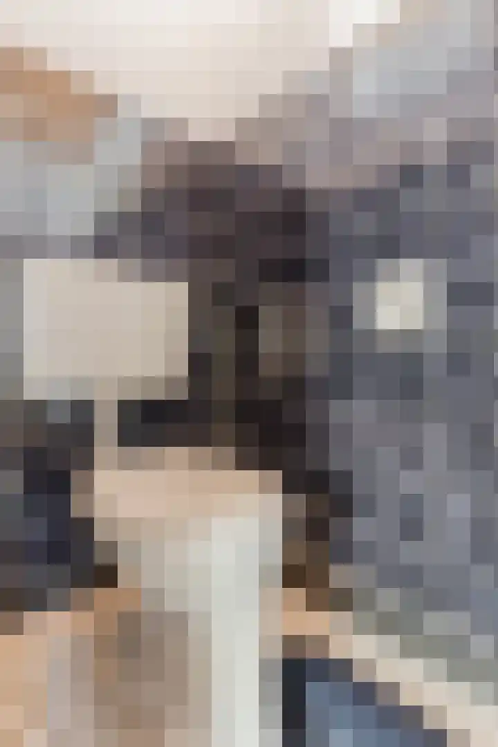Oranjelaan 2 Susteren thumbnail 9