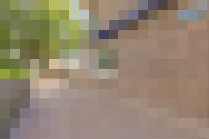 Oranjelaan 2 Waddinxveen thumbnail 12