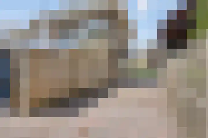 Oranjelaan 2 Waddinxveen thumbnail 13