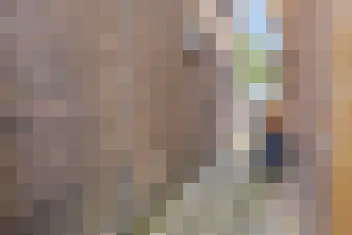 Oranjelaan 2 Waddinxveen thumbnail 14