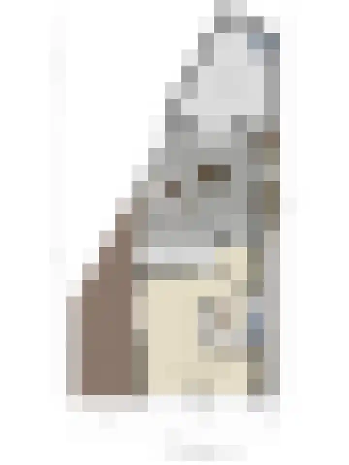 Oranjelaan 2 Waddinxveen thumbnail 19