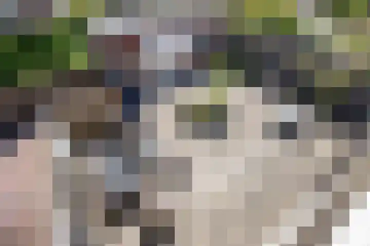 Oranjelaan 2 Waddinxveen thumbnail 20