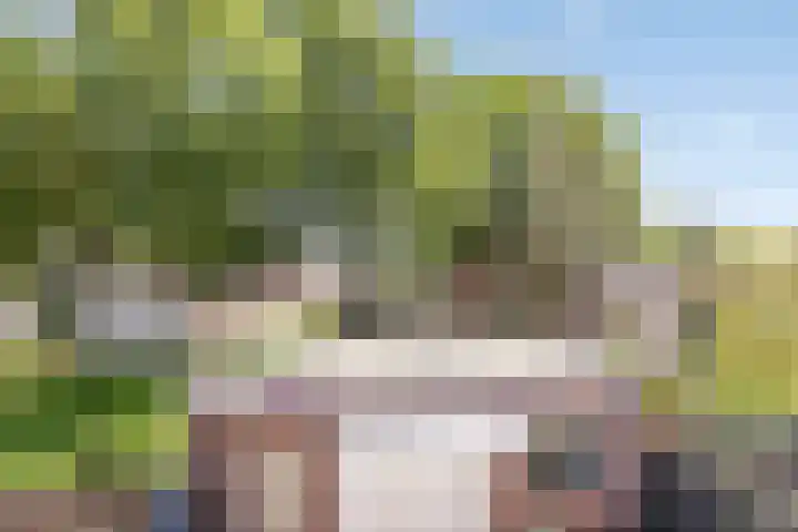 Oranjelaan 2 Waddinxveen thumbnail 21