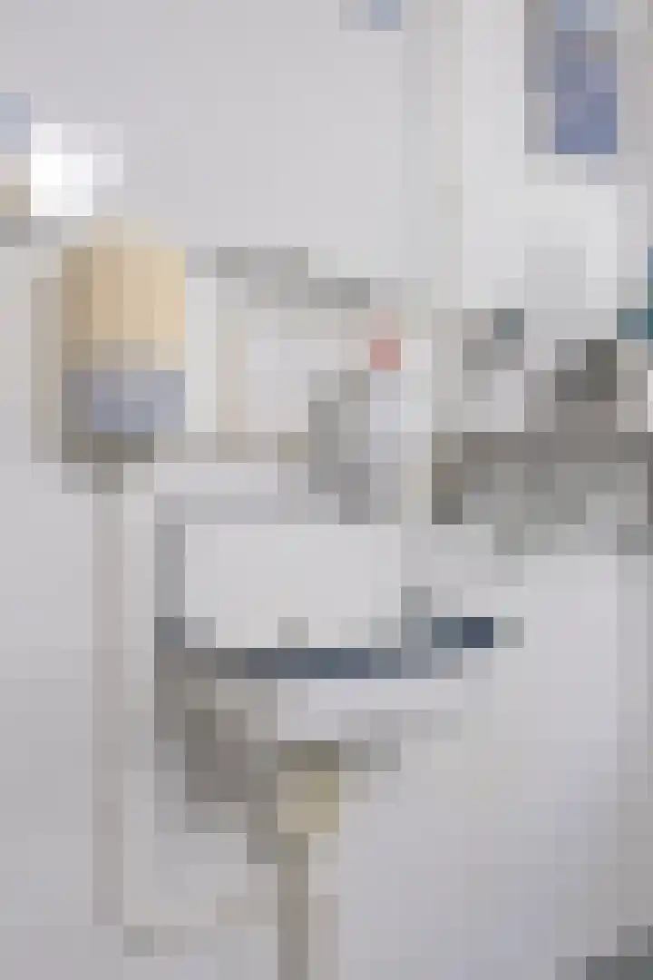 Oranjelaan 2 Waddinxveen thumbnail 24