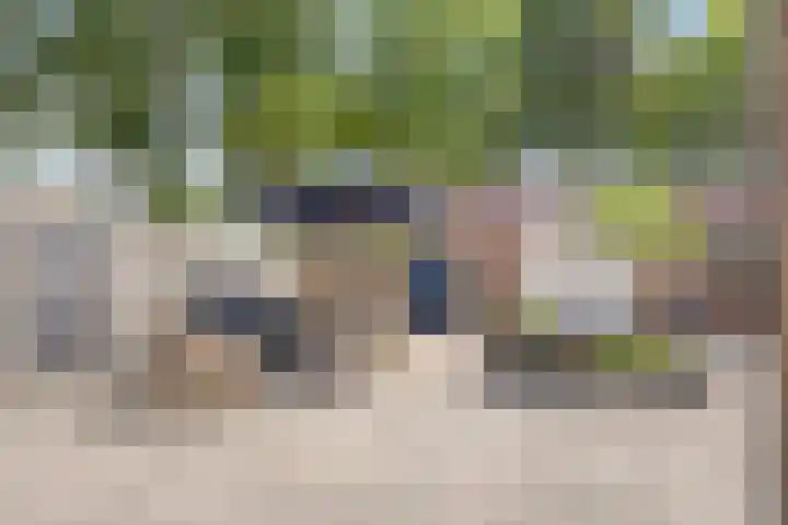 Oranjelaan 2 Waddinxveen foto 3