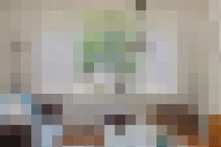 Oranjelaan 2 Waddinxveen thumbnail 30