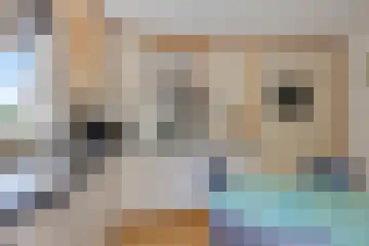 Oranjelaan 2 Waddinxveen thumbnail 34