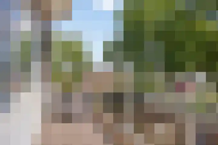 Oranjelaan 2 Waddinxveen thumbnail 36