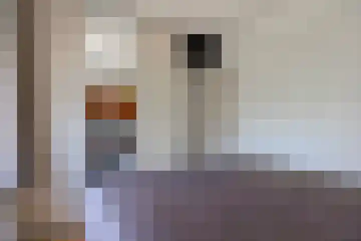 Oranjelaan 2 Waddinxveen thumbnail 40