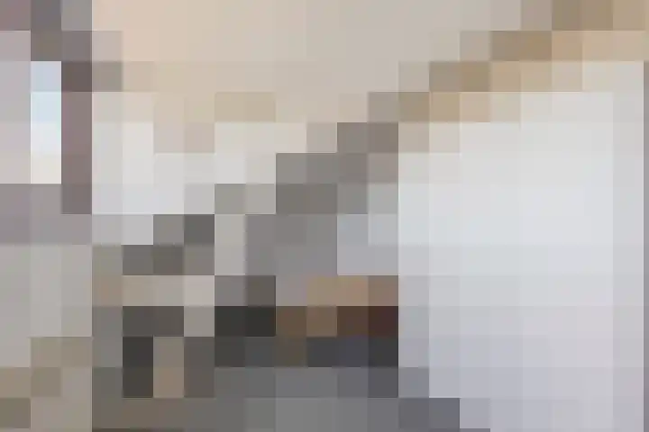 Oranjelaan 2 Waddinxveen thumbnail 46