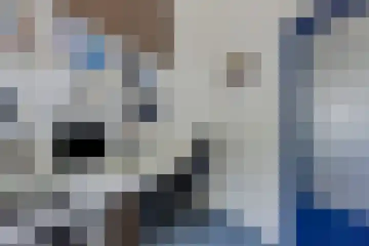 Oranjelaan 2 Waddinxveen thumbnail 9