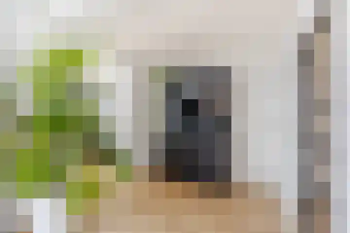 Oranjelaan 20 Giessenburg thumbnail 12