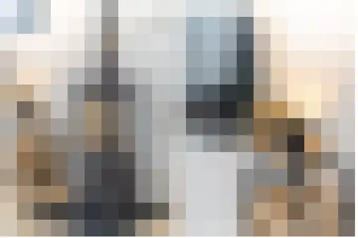 Oranjelaan 20 Giessenburg thumbnail 13