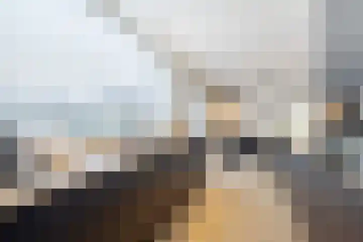 Oranjelaan 20 Giessenburg thumbnail 15