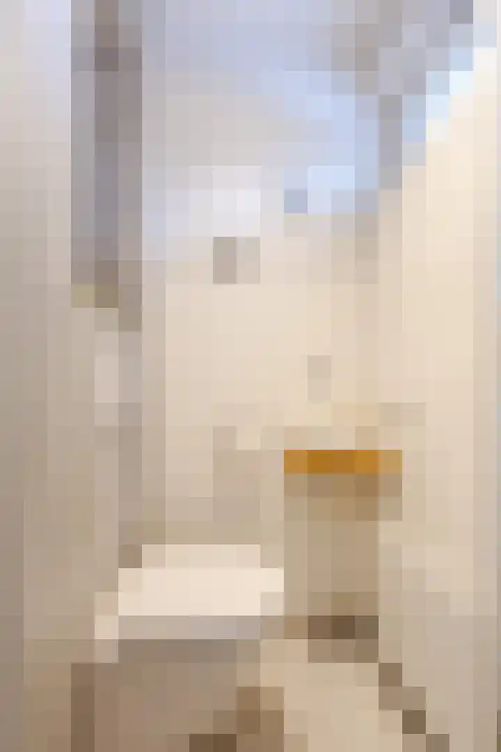 Oranjelaan 20 Giessenburg thumbnail 19