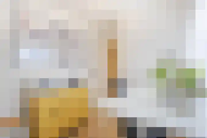 Oranjelaan 20 Giessenburg thumbnail 23