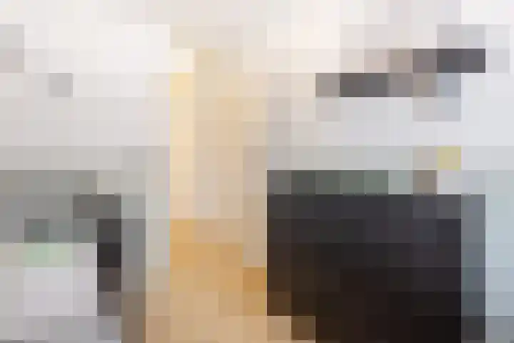 Oranjelaan 20 Giessenburg thumbnail 25