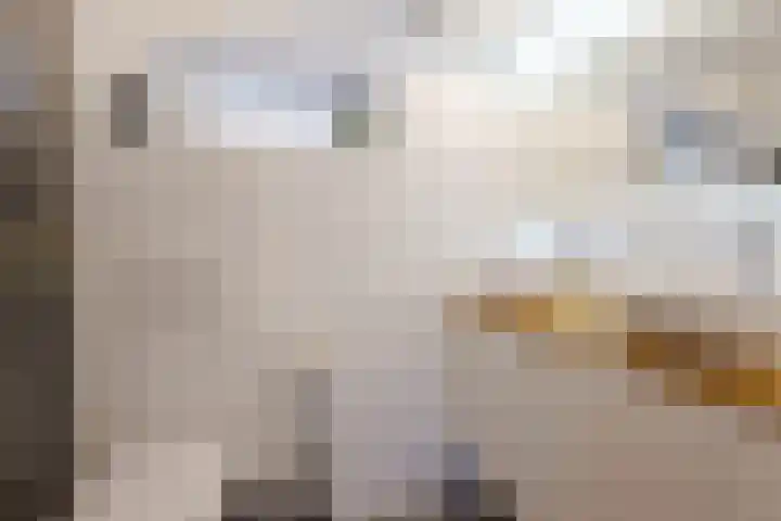 Oranjelaan 20 Giessenburg thumbnail 26