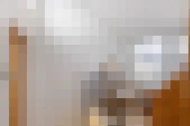 Oranjelaan 20 Giessenburg thumbnail 30