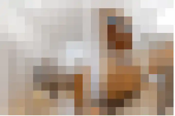 Oranjelaan 20 Giessenburg thumbnail 31