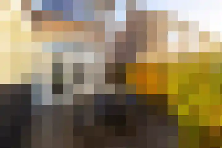 Oranjelaan 20 Giessenburg thumbnail 33
