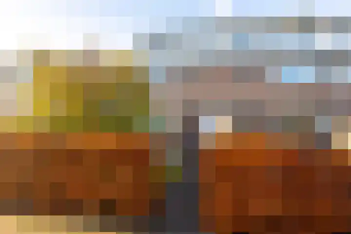 Oranjelaan 20 Giessenburg thumbnail 36