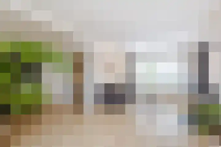 Oranjelaan 20 Giessenburg thumbnail 9