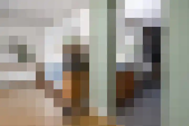 Oranjelaan 20 Oud-Alblas thumbnail 13