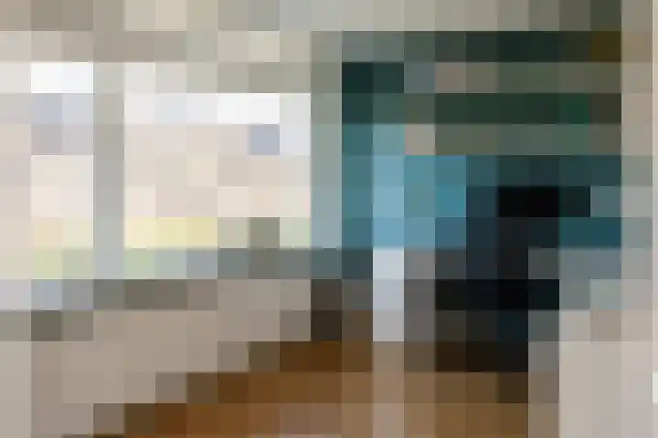Oranjelaan 20 Oud-Alblas thumbnail 20