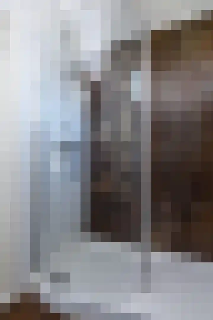 Oranjelaan 20 Oud-Alblas thumbnail 23