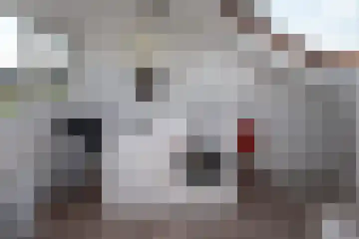 Oranjelaan 20 Oud-Alblas thumbnail 25