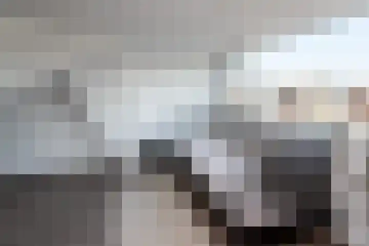 Oranjelaan 20 Oud-Alblas thumbnail 26